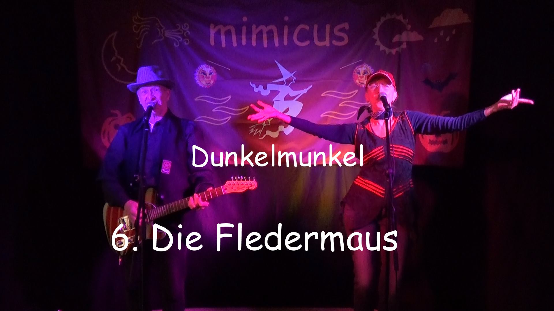 Die Fledermaus